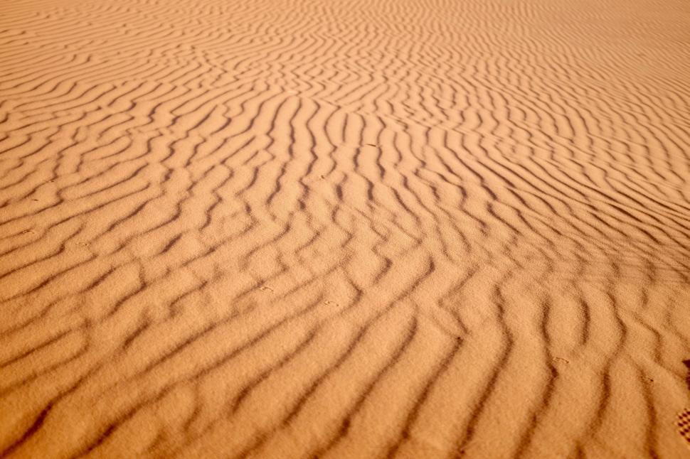 Free Image of Footprints in the Sand of a Desert 