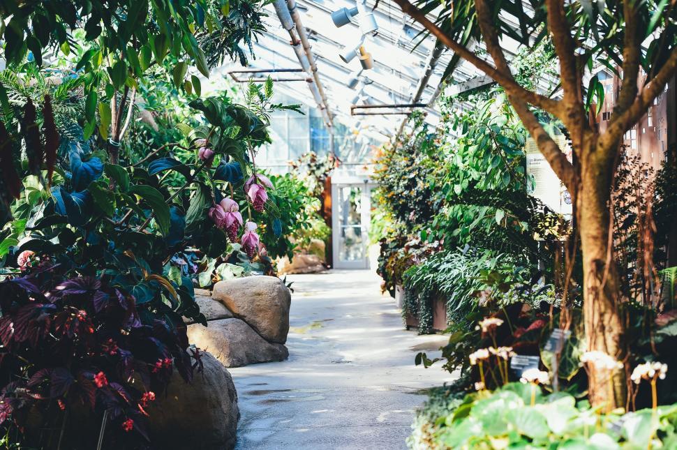 Free Image of Greenhouse Walkway Filled With Plants 
