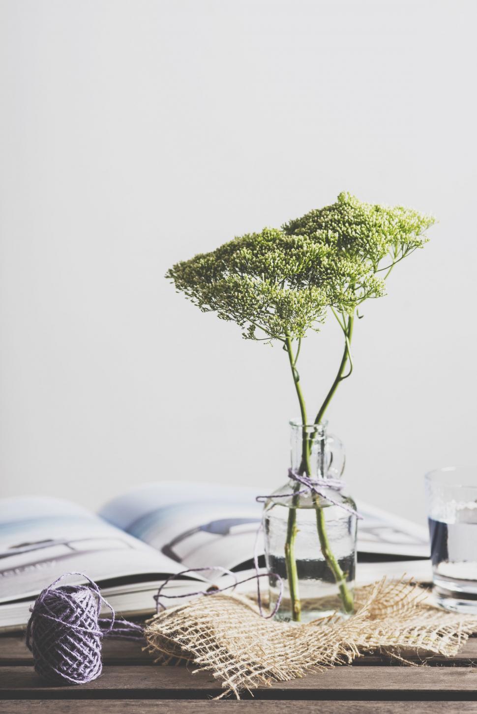 Free Image of Vase With Plant on Table 
