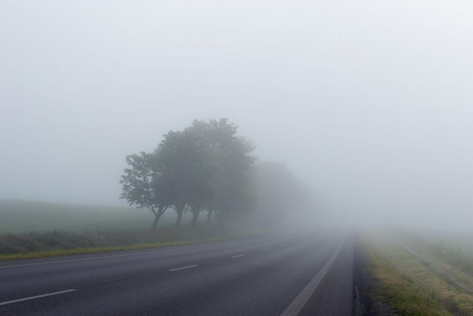 Free Image of Misty Road Through Distant Trees 