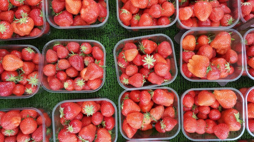 Free Image of A Bunch of Strawberries in Plastic Containers 
