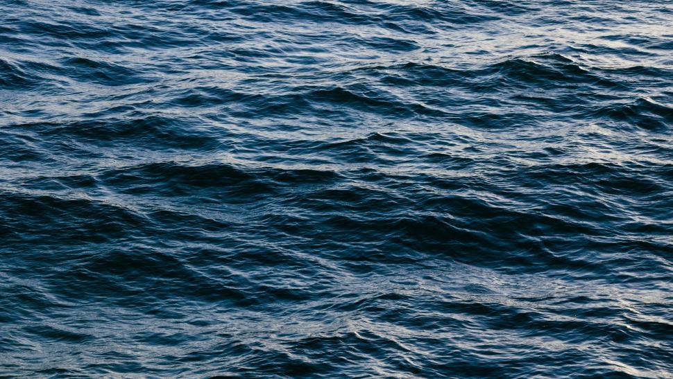 Free Image of Rough Waves on Large Body of Water 