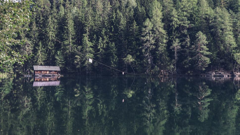 Free Image of Bench Overlooking Lake Among Trees 