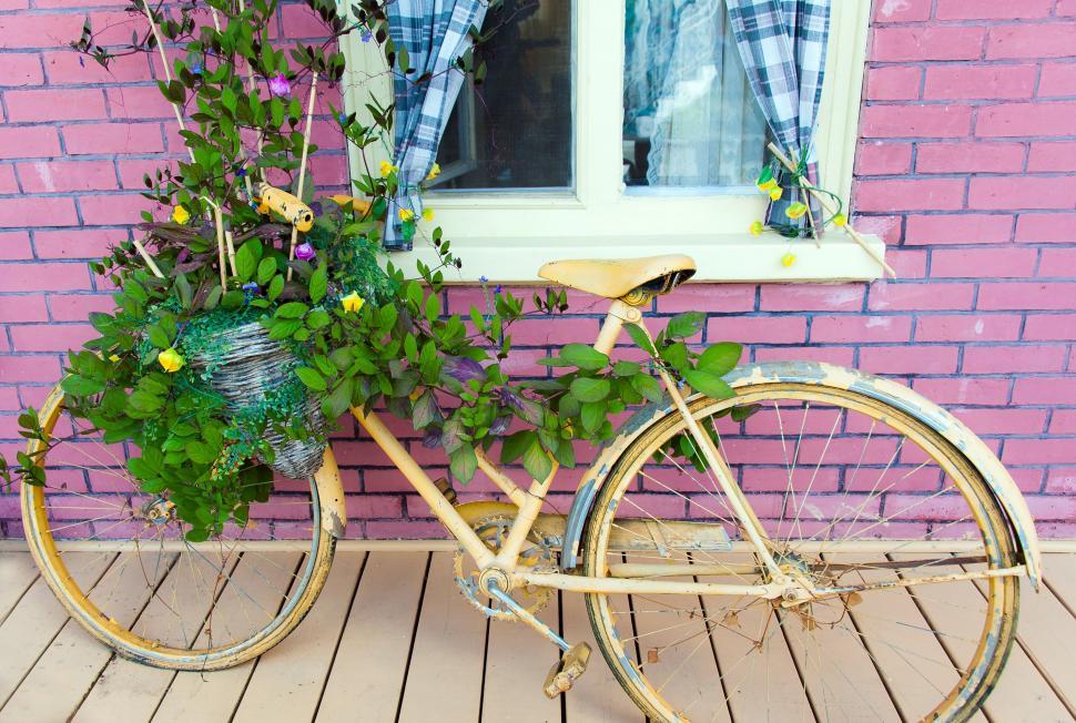 Free Image of Bicycle With Basket Full of Flowers 