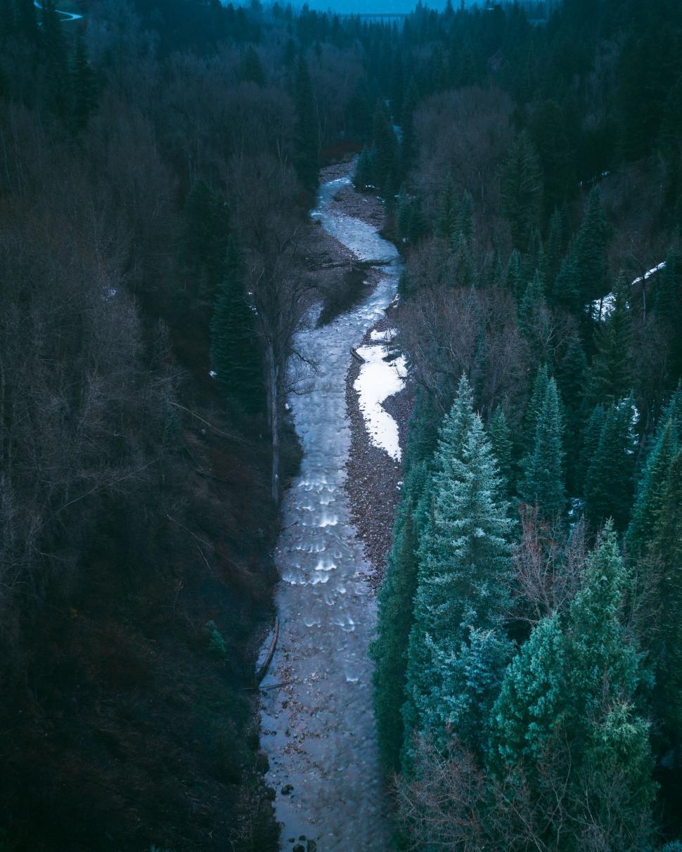 Free Image of River Flowing Through Snow-Covered Forest 