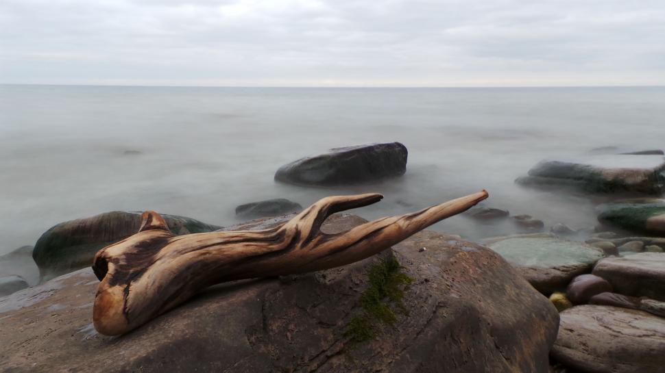 Free Image of Driftwood Resting on Rock by Ocean 