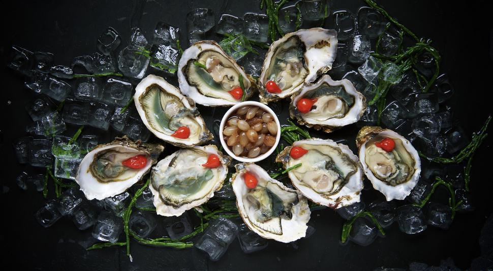 Free Image of A Bunch of Oysters on Ice With a Bowl 