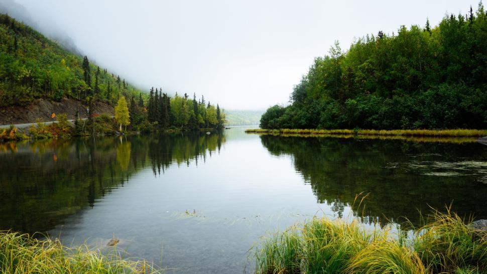 Free Image of Body of Water Surrounded by Trees and Grass 
