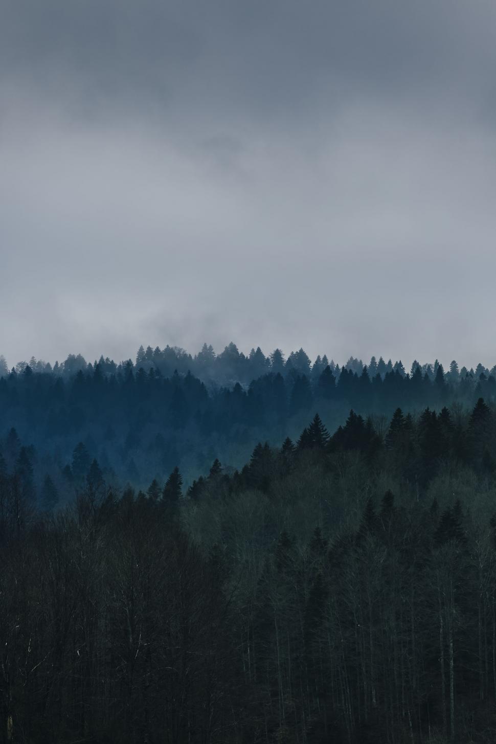 Free Image of Plane Flying Over Forest on Cloudy Day 