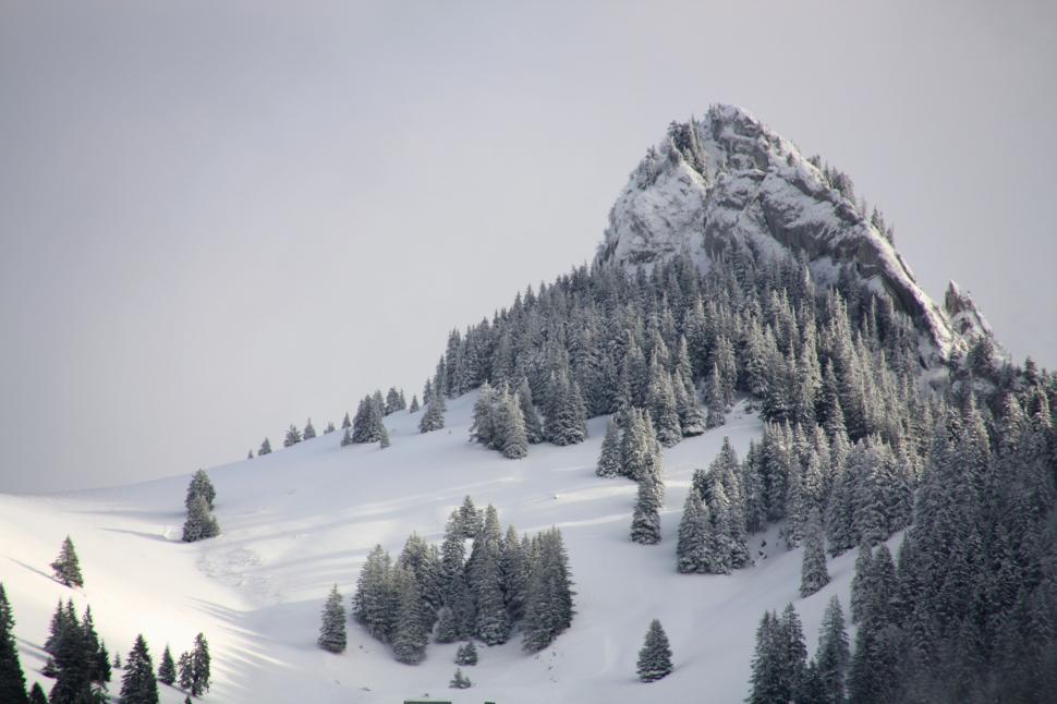 Free Image of Snow-Covered Mountain With Trees 