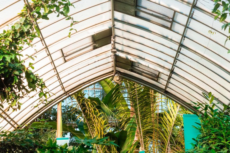 Free Image of Lush Greenhouse Filled With Abundant Plants 