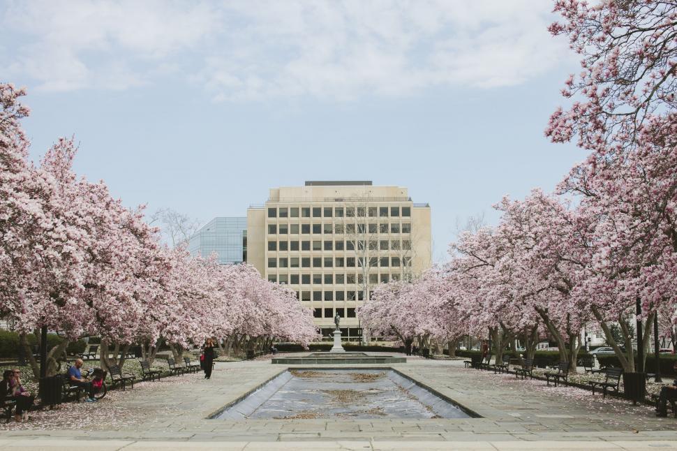 Free Image of Large Building Surrounded by Trees With Pink Flowers 