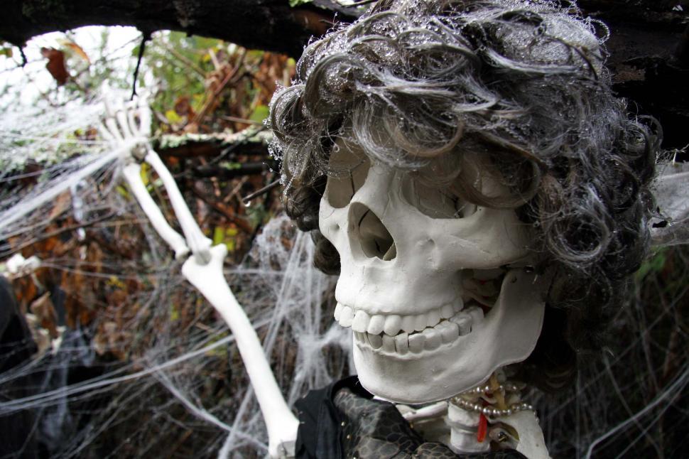 Free Image of Skeleton in Costume Surrounded by Spider Web 