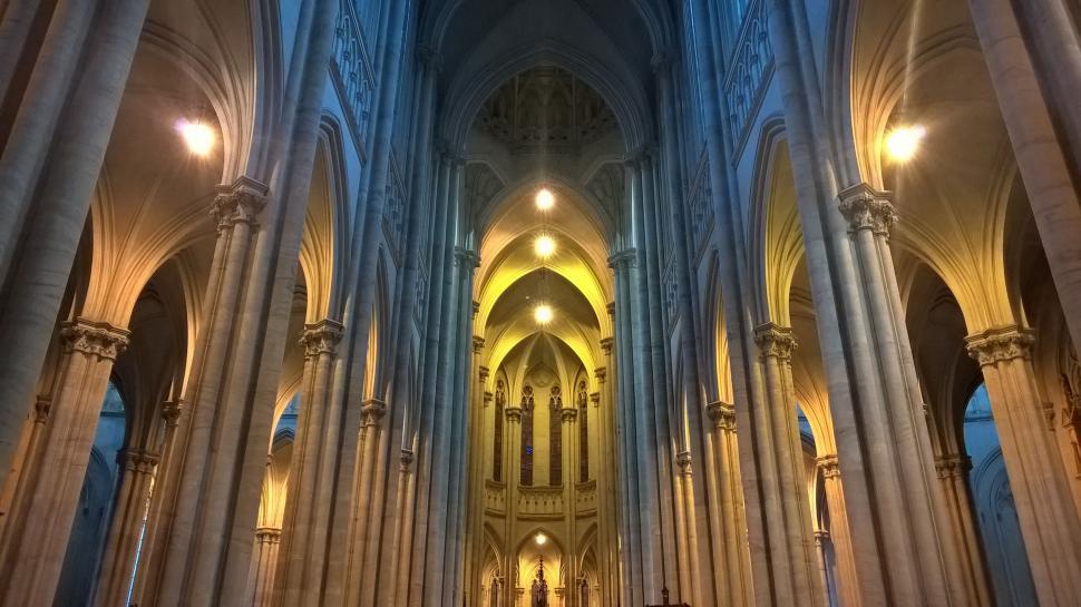 Free Image of Majestic Cathedral With Tall Ceiling 