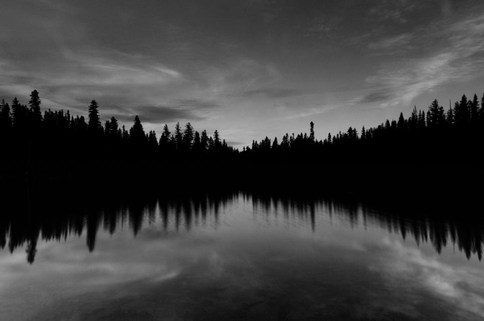 Free Image of Trees and Water Amidst Monochrome Landscape 