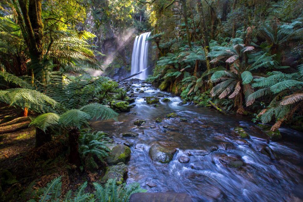 Free Image of Small Waterfall Surrounded by Lush Green Trees 