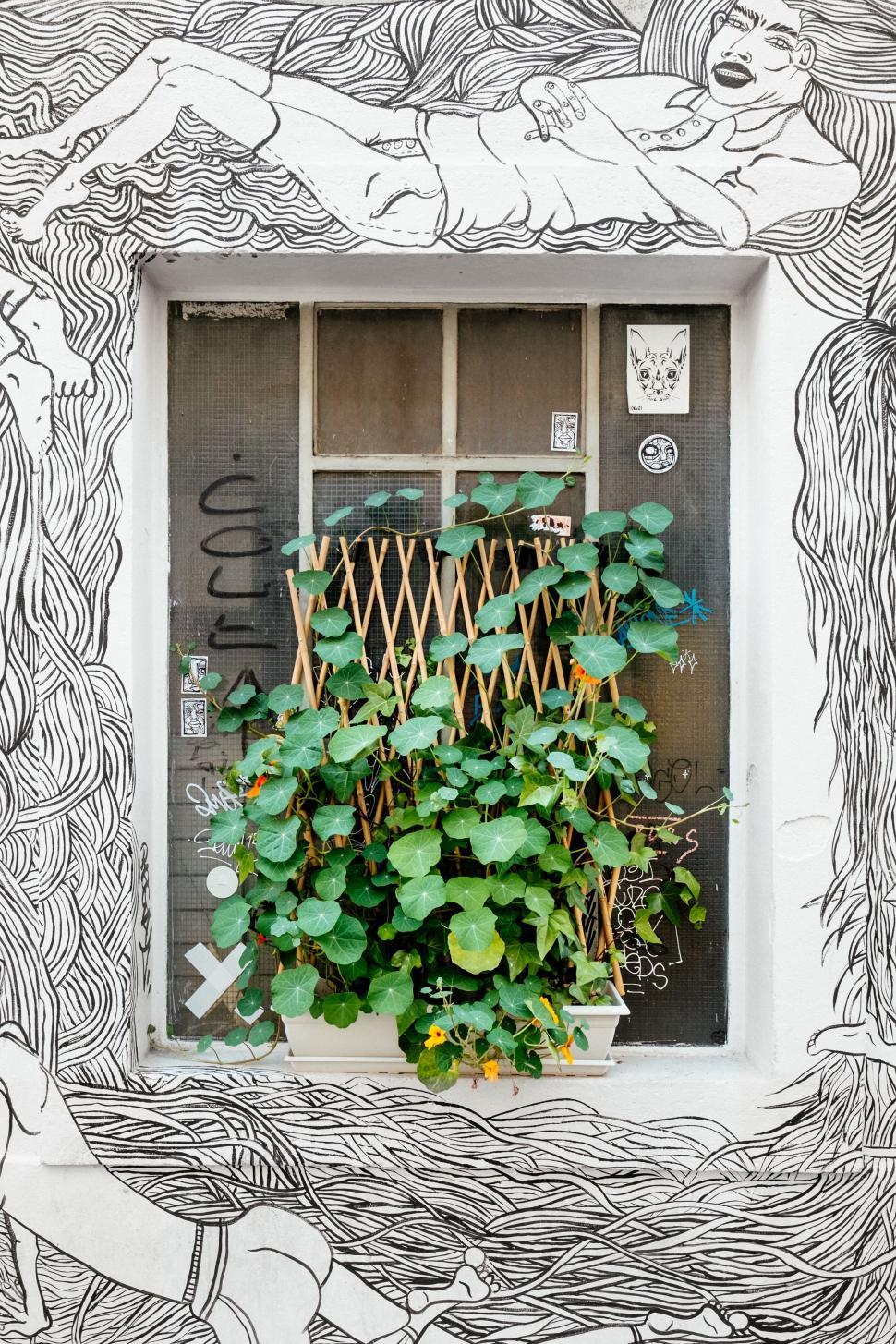 Free Image of Window With Plant Growing Out 