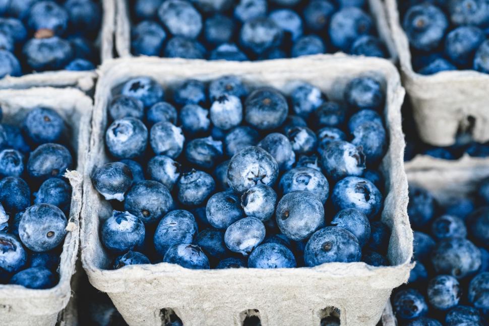 Free Image of Close Up of Blueberries in Boxes 