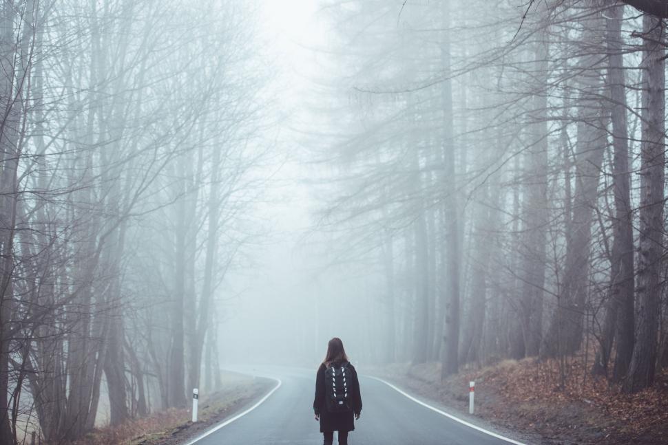 Free Image of Person Standing on Road in Middle of Forest 