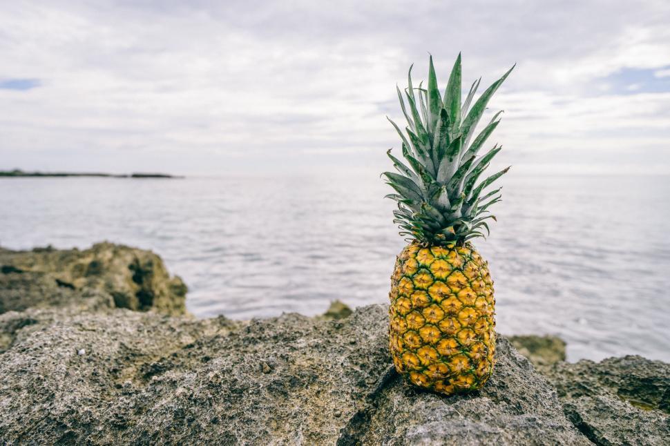 Free Image of Pineapple on Rock Near Ocean 