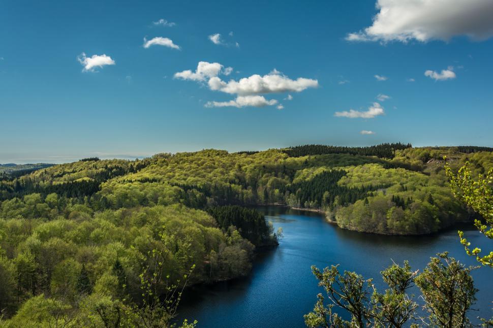 Free Image of Lake Surrounded by Lush Green Trees Under Blue Sky 