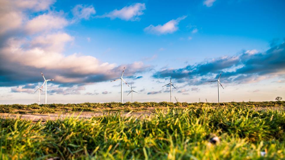 Free Image of Windmills Standing in Grass 