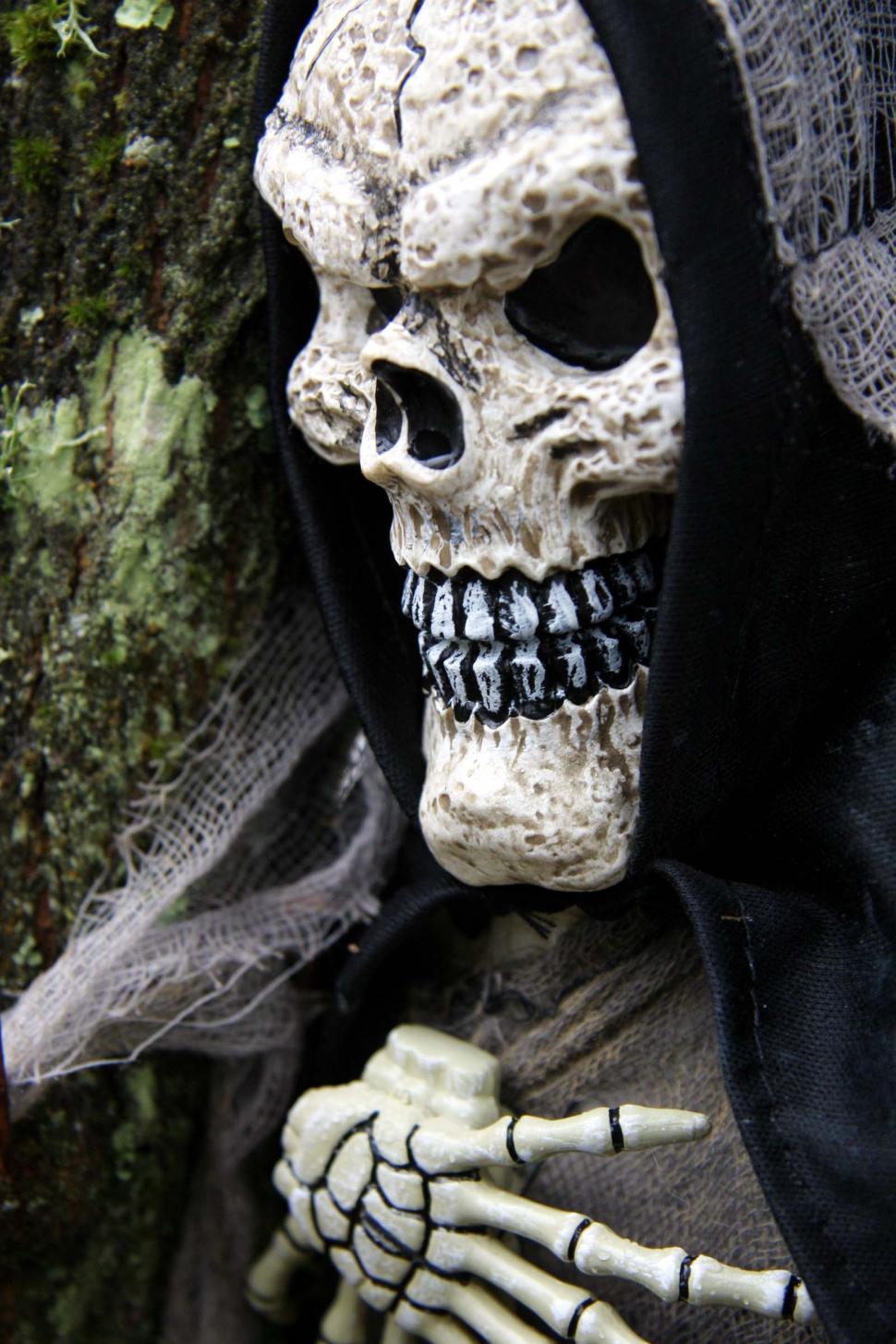 Free Image of Skeleton Wearing Black Hooded Jacket and Veil 