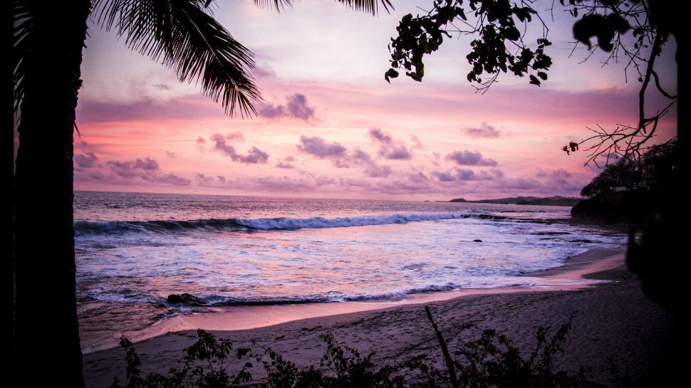 Free Image of Sunset View of a Beach With Palm Trees 