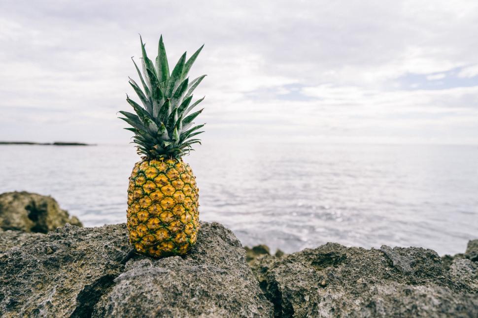 Free Image of Pineapple Sitting on Rock Near Ocean 