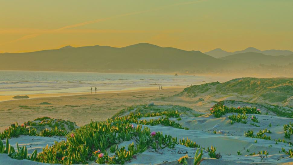 Free Image of Beach at Sunset With Mountains in Background 