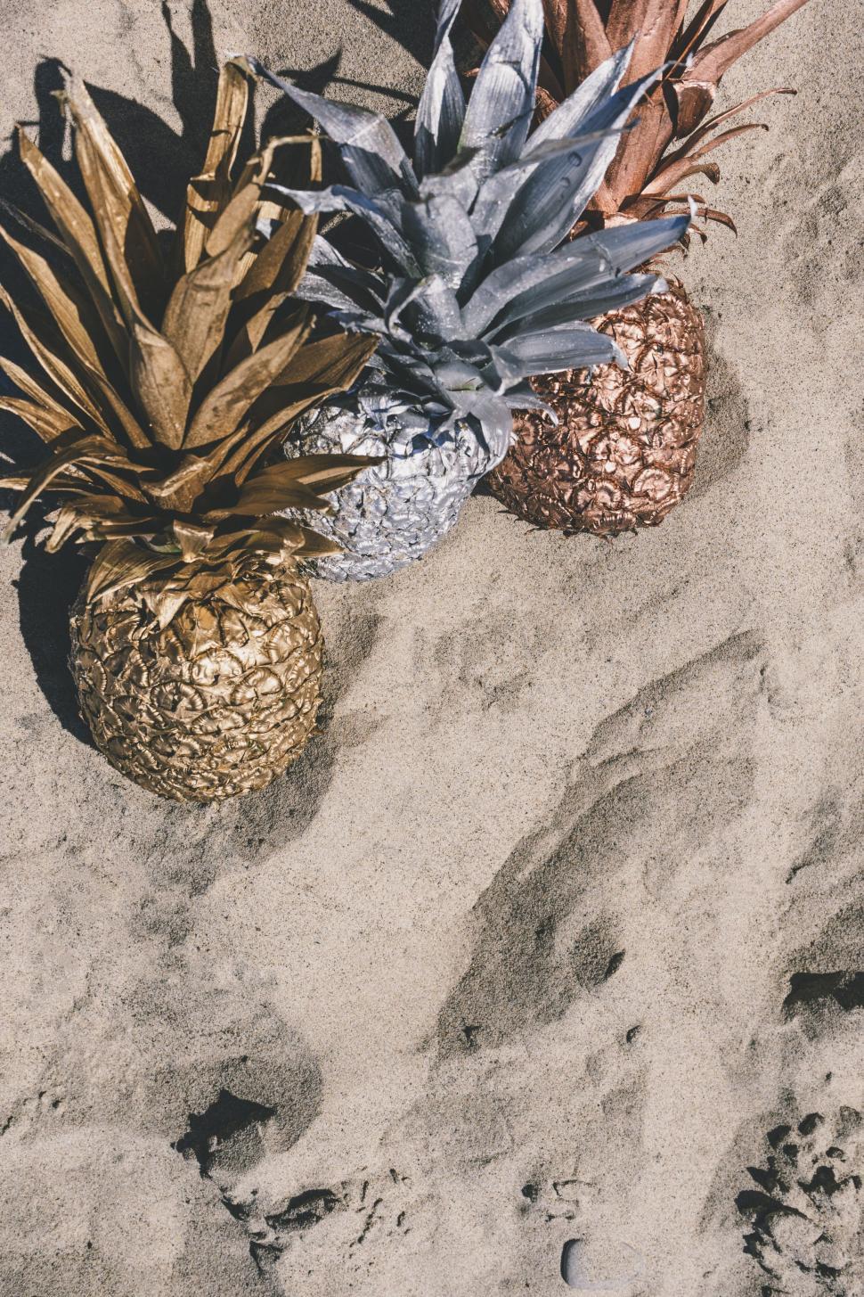 Free Image of Pineapples Resting on Sandy Beach 