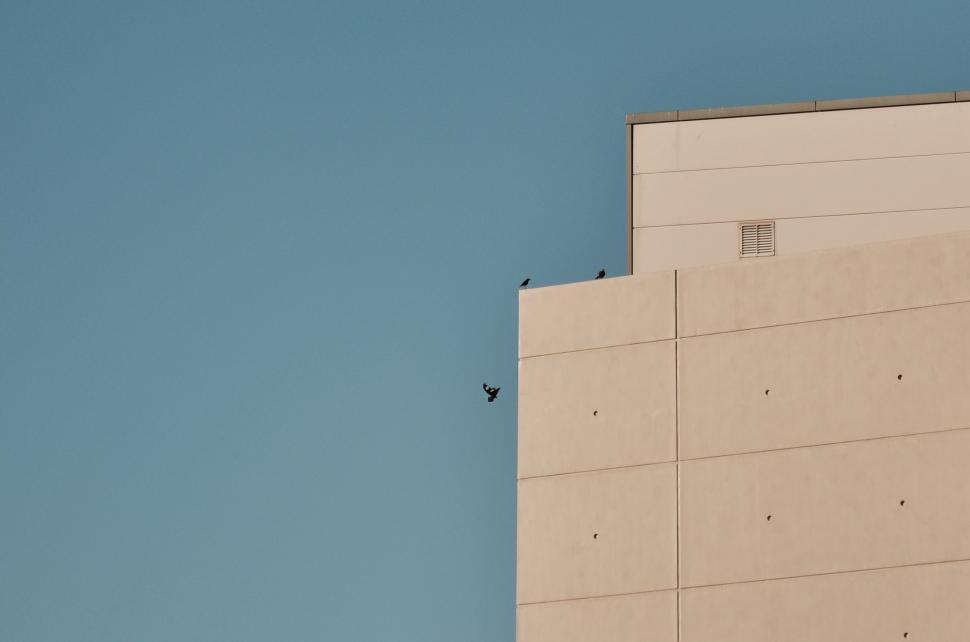 Free Image of Building With Bird Flying in Sky 