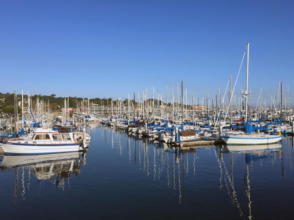 Free Image of Bustling Harbor Filled With Boats on a Sunny Day 