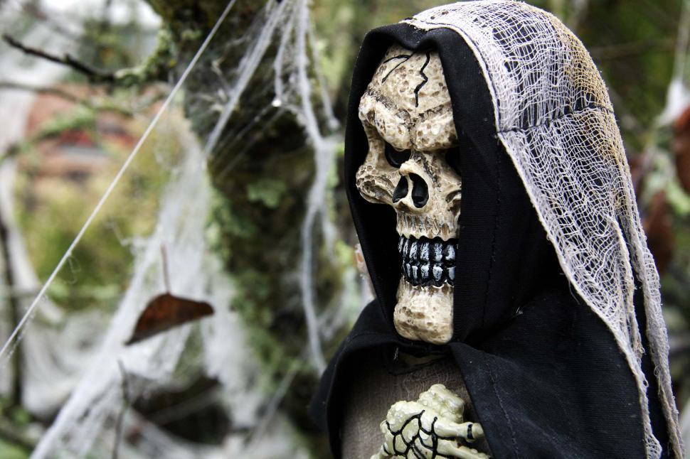 Free Image of Skeleton in Black Cloak With Spider Web 
