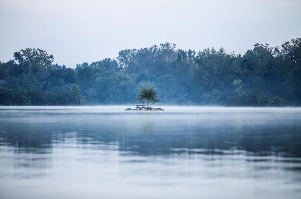 Free Image of Lone Tree in Middle of Lake 