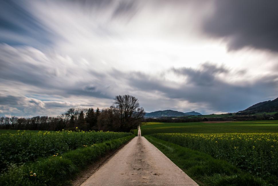 Free Image of Dirt Road Cutting Through Green Field Under Cloudy Sky 
