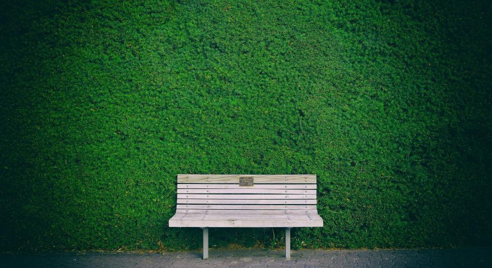 Free Image of Wooden Bench in Front of Green Wall 