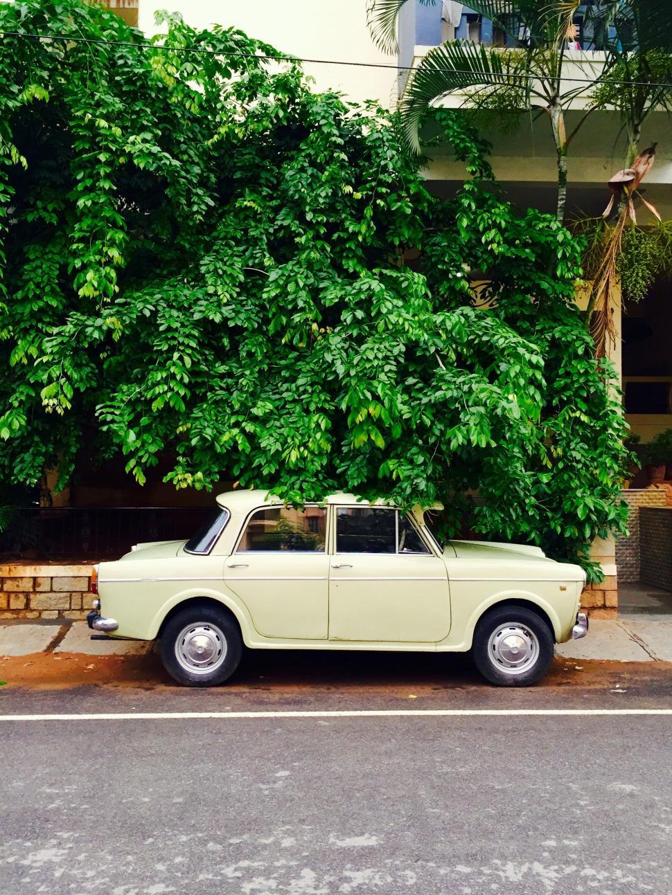 Free Image of Old Car Parked in Front of Tree 