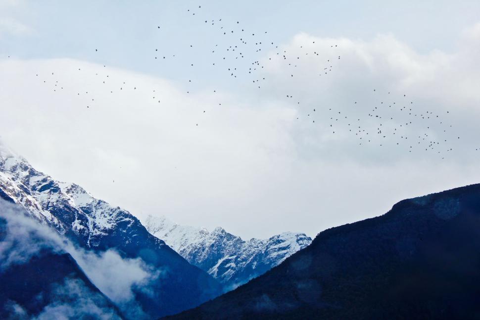 Free Image of Birds Flying Over Mountain Range 