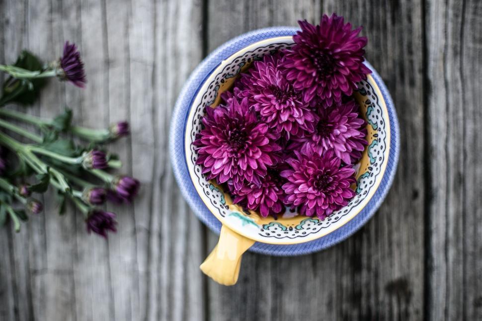 Free Image of Bowl Filled With Purple Flowers on Wooden Table 