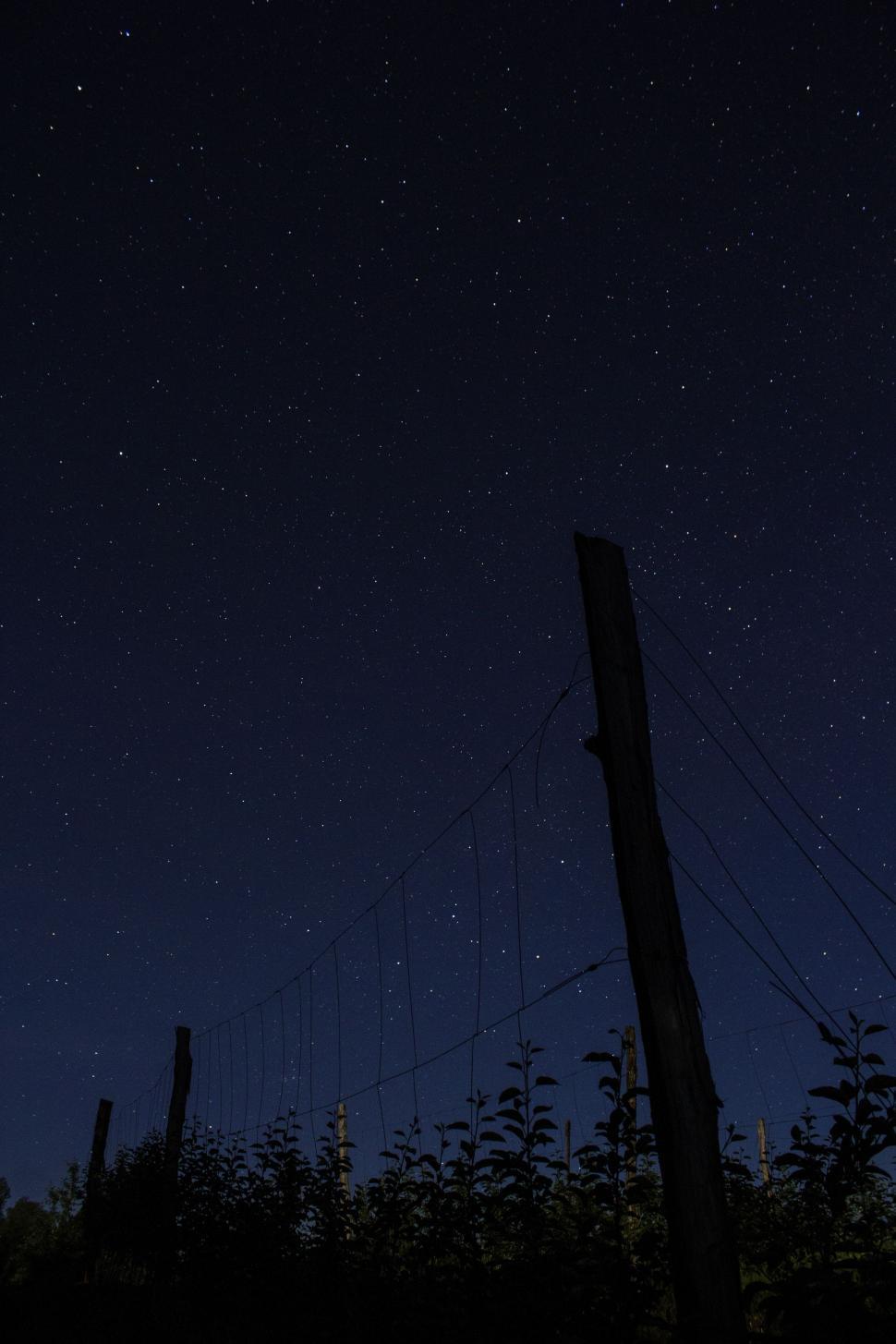 Free Image of Night Sky With Stars and Telephone Pole 