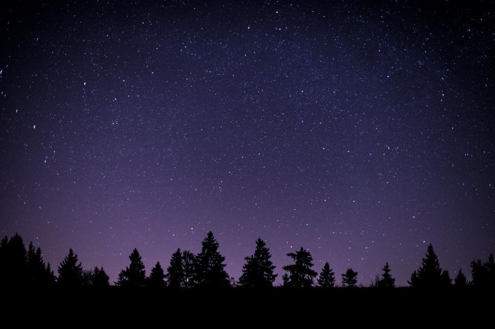 Free Image of Night Sky With Stars and Trees 