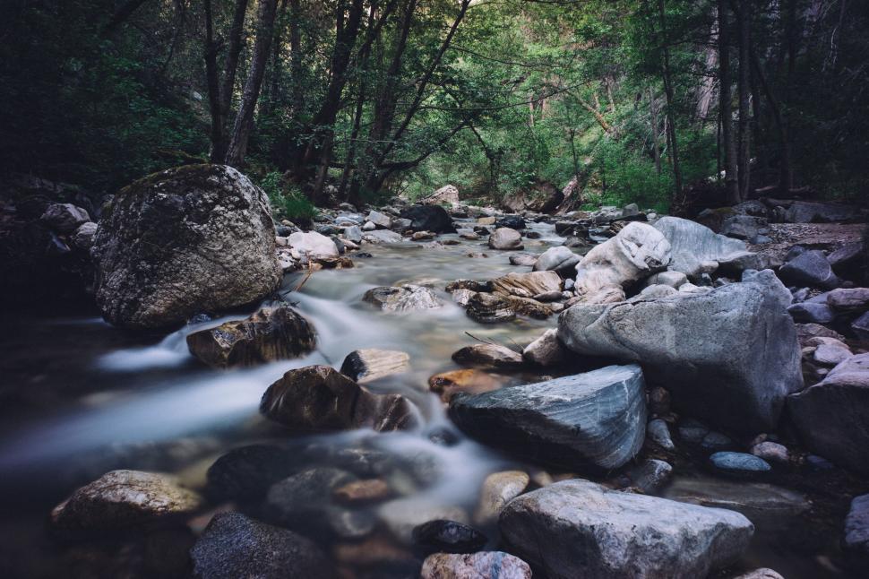 Free Image of Stream Flowing Through Rock-Filled Forest 