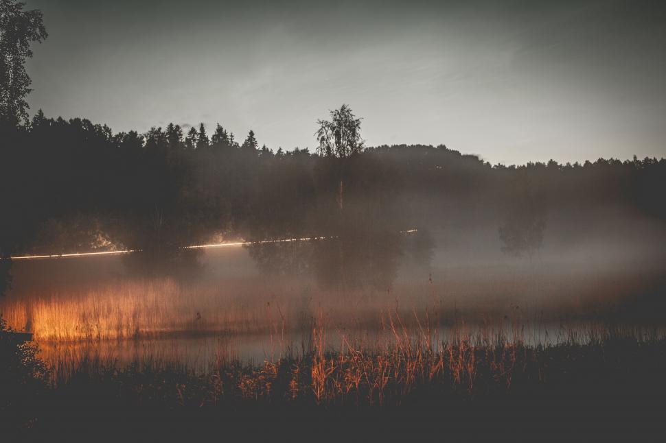 Free Image of Misty Lake Surrounded by Trees 