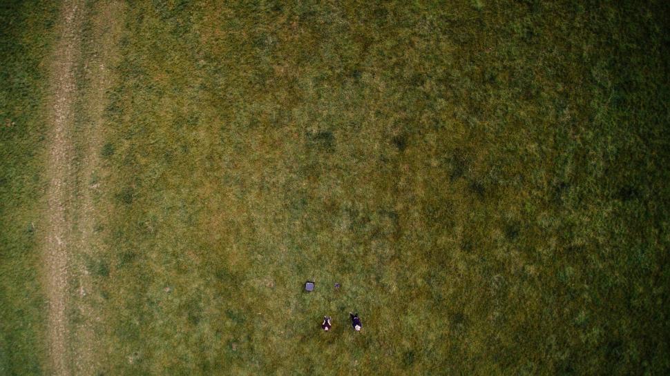 Free Image of Aerial View of Two Sheep Grazing in a Grass Field 