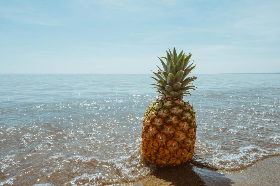 Free Image of Pineapple Resting on Sandy Beach 