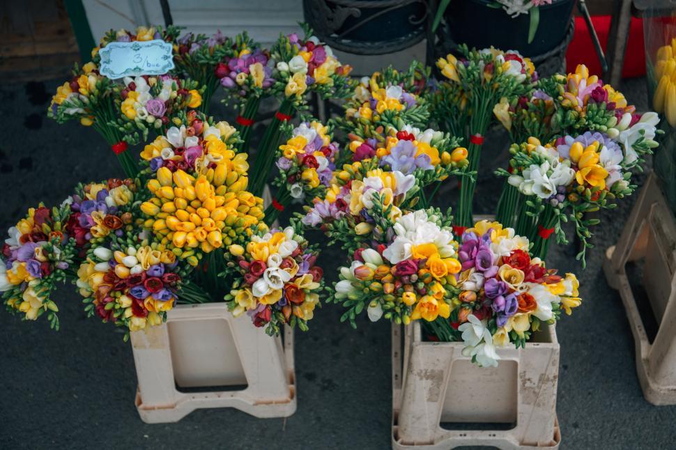 Free Image of Assorted Flowers Arranged in Containers 