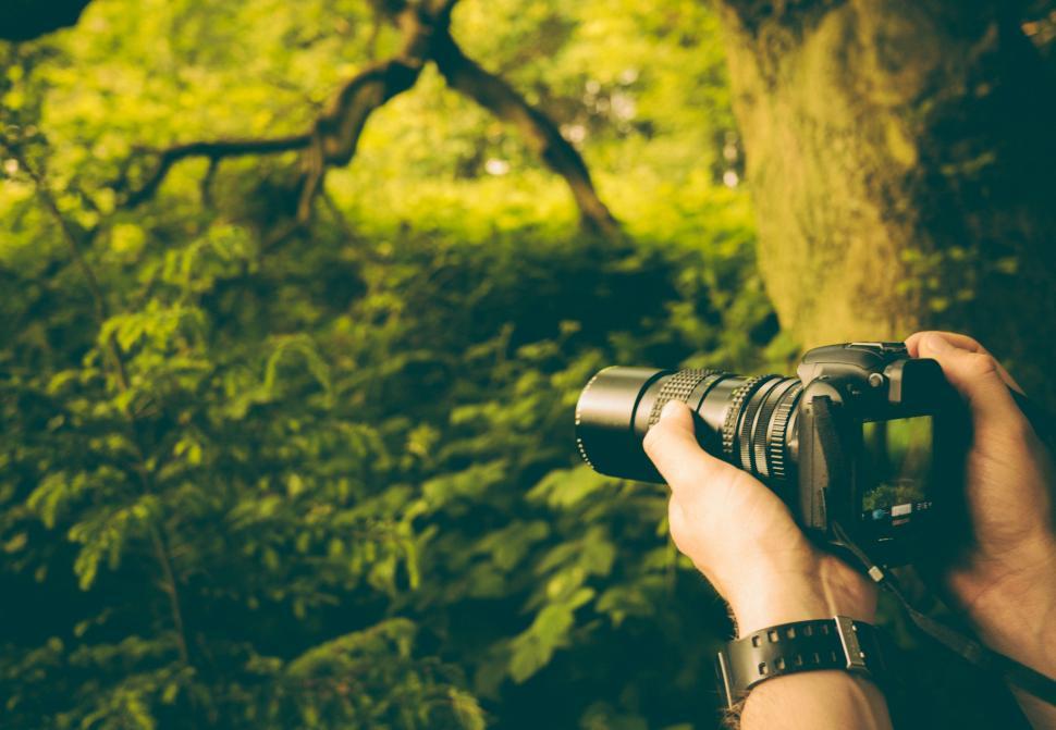 Free Image of Person Holding Camera in Front of Tree 