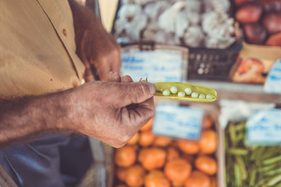 Free Image of Man Holding Pea Pod at Produce Stand 