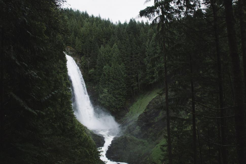 Free Image of Waterfall Surrounded by Forest 